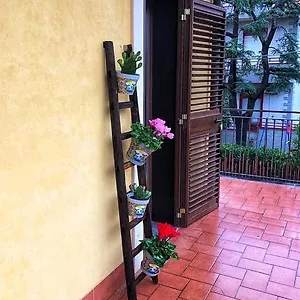 Opuntia Dell'etna Bike House Mascalucia